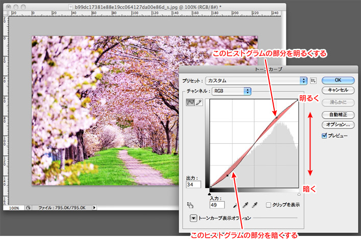 Photoshopで最低限やっておきたい 色や歪みなどの補正方法 Webproduct Lab